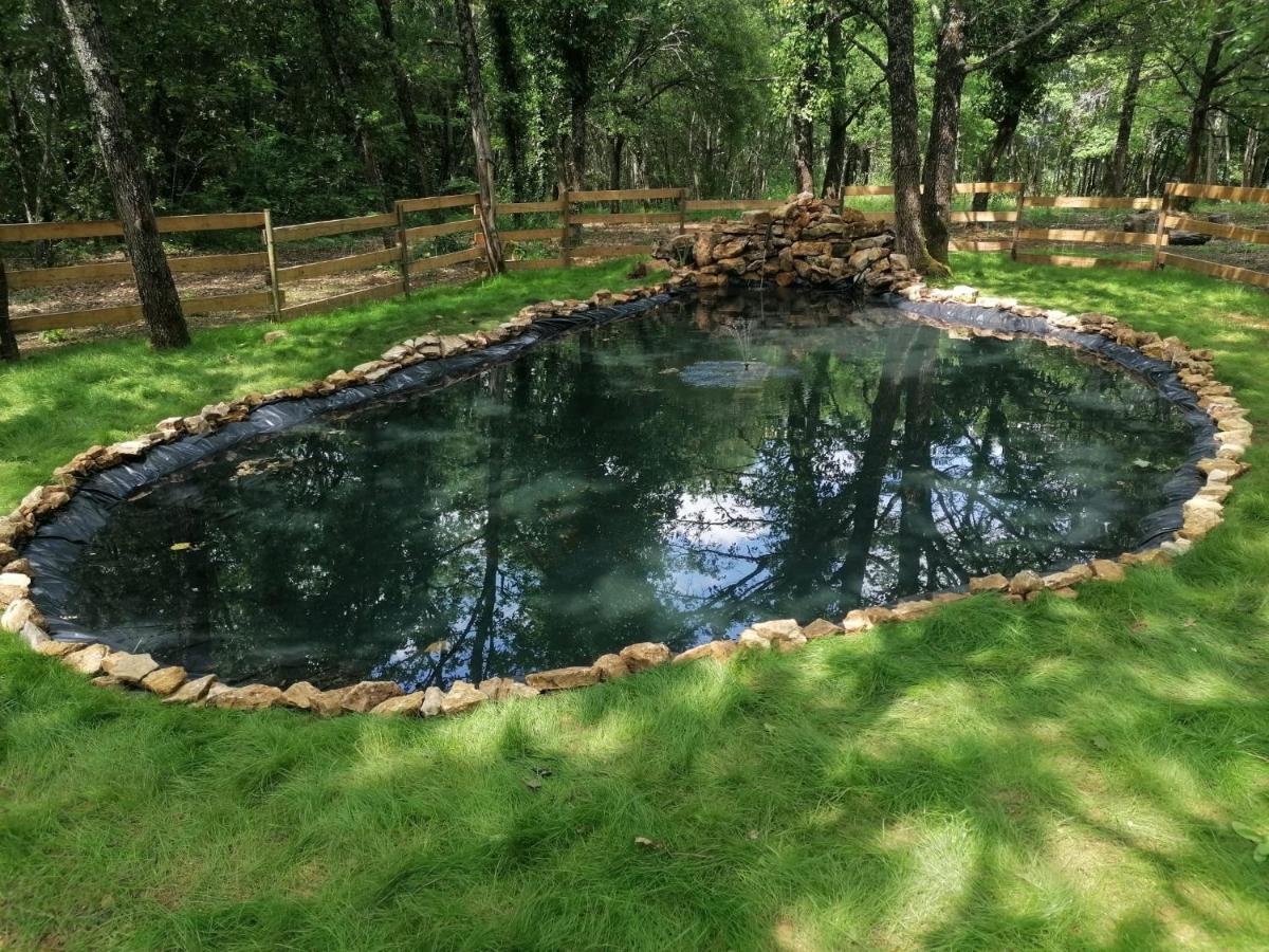 7-Gite-7 Personnes Au Coeur De La Nature /Piscine Saint-Aubin-de-Nabirat Kültér fotó