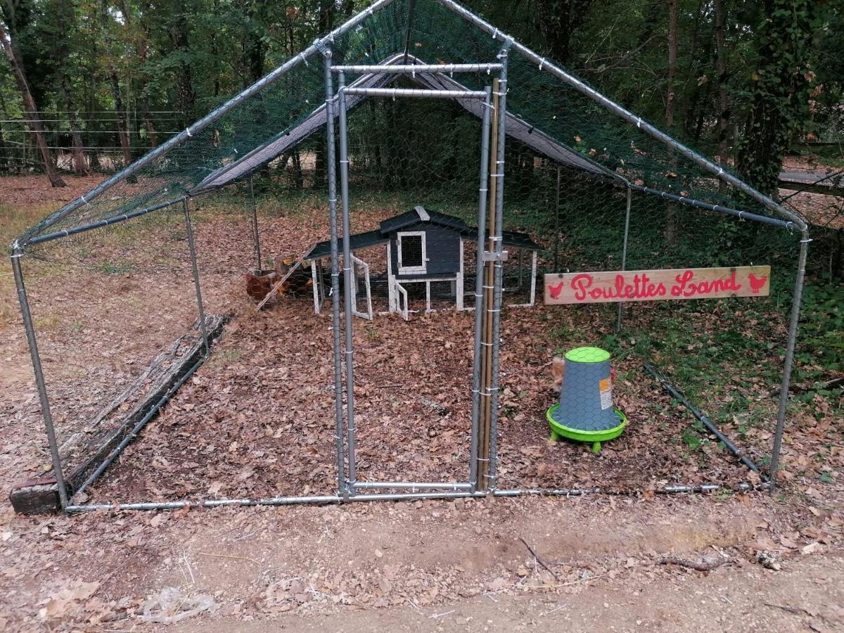 7-Gite-7 Personnes Au Coeur De La Nature /Piscine Saint-Aubin-de-Nabirat Kültér fotó